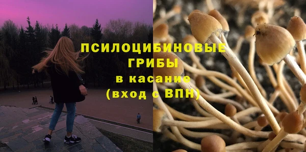дживик Алзамай